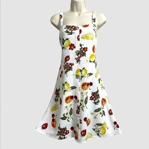 NWOT DEREK HEART FRUIT LEMON STRAWBERRY DRESS